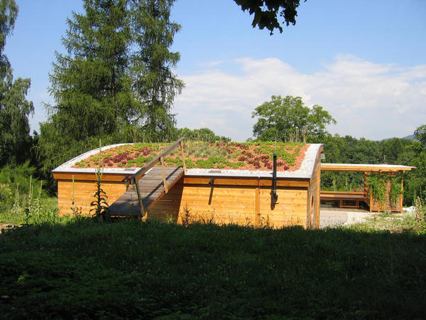 Begrüntes Dach
Das begrünte Dach als konsequente Fortsetzung baubiologischen Denkens. Jenes was am Boden weggenommen wurde, wird am Dach zum Teil ersetzt.