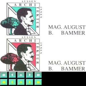 Architekt Bammer Linz OÖ